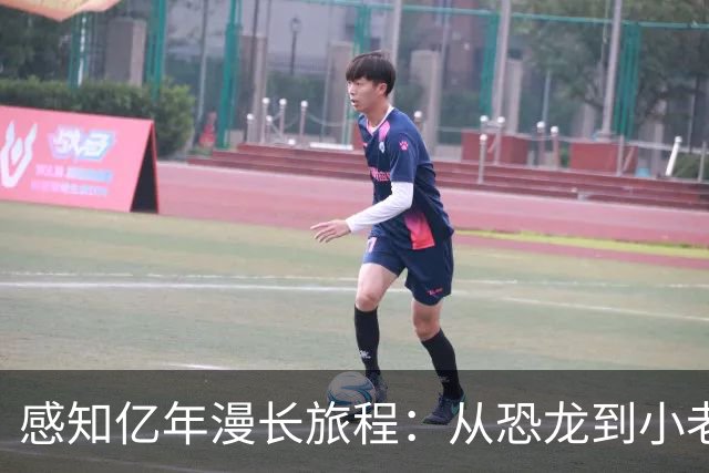 感知亿年漫长旅程：从恐龙到小老鼠的演化密码
