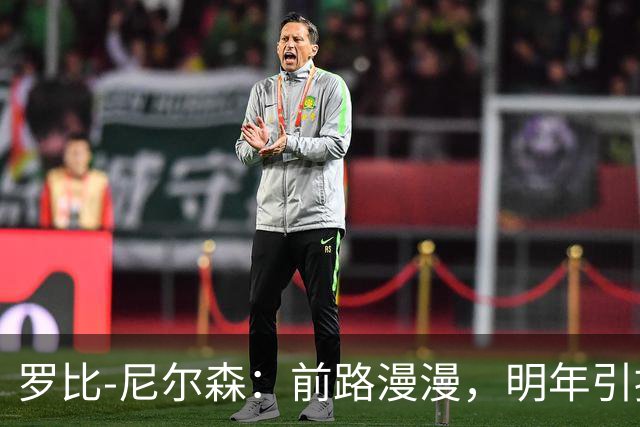 罗比-尼尔森：前路漫漫，明年引援势在必行